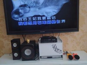 唱卡拉ok需要什么樣的設(shè)備,以及需要哪幾個部件的音響設(shè)備