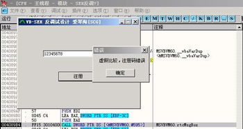 VB共享軟件防破解設計技術初探 從基礎防護到軟件設計制作